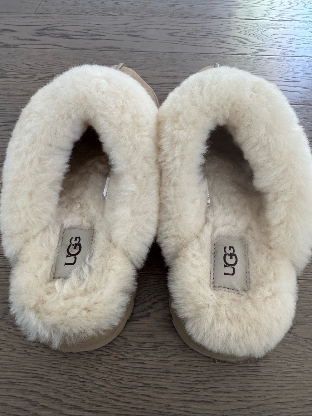 UGG Chestnut Suede and Sheepskin Slippers with Cream Fur Trim - Picture 3 of 6
